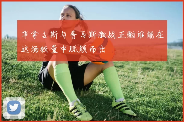 华拿古斯与普马斯激战正酣谁能在这场较量中脱颖而出